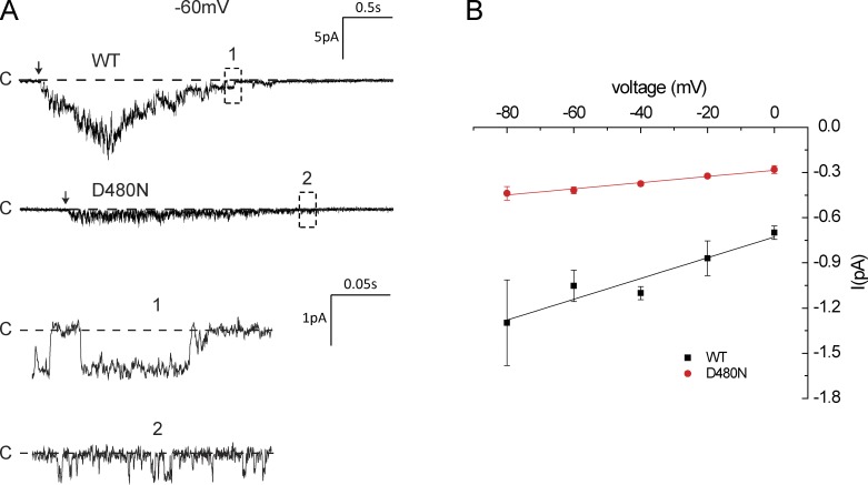 Figure 11.