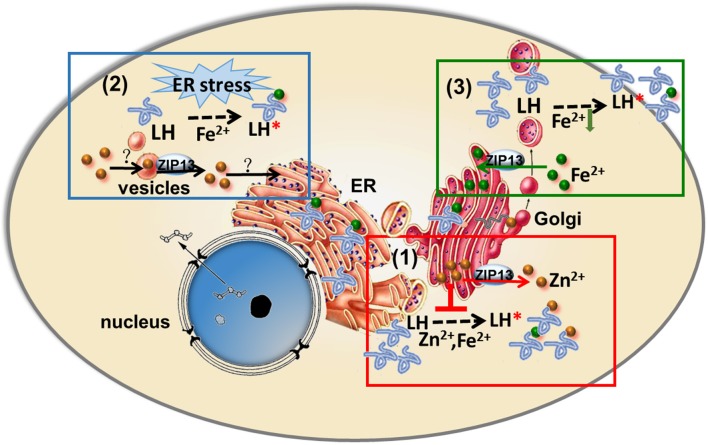 Figure 2