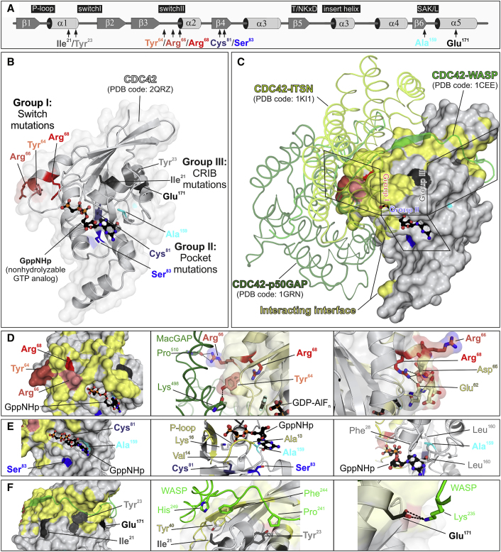 Figure 1