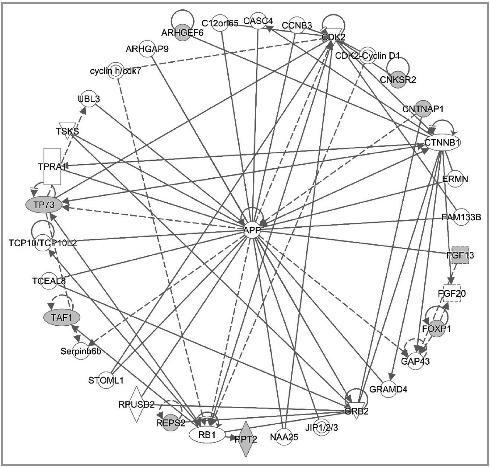 Figure 5.