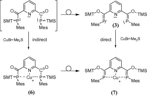 Scheme 5