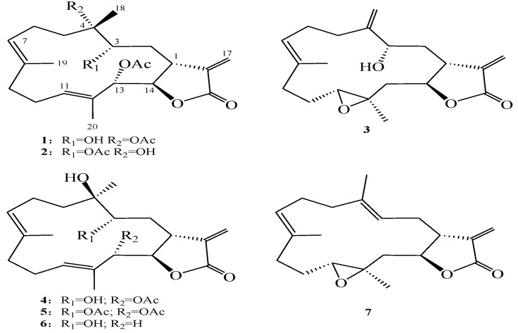 Chart 1