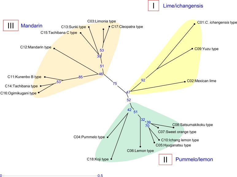 Fig 7