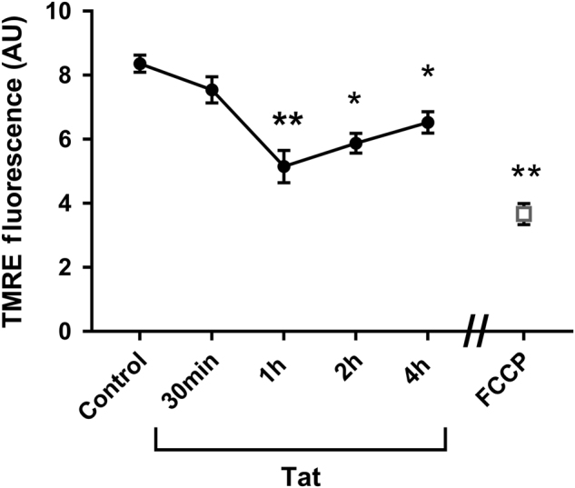 Fig. 3