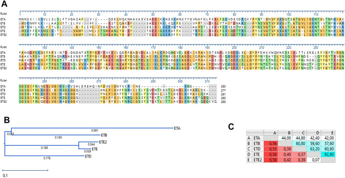 FIGURE 2