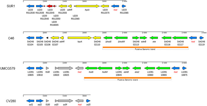 FIGURE 3