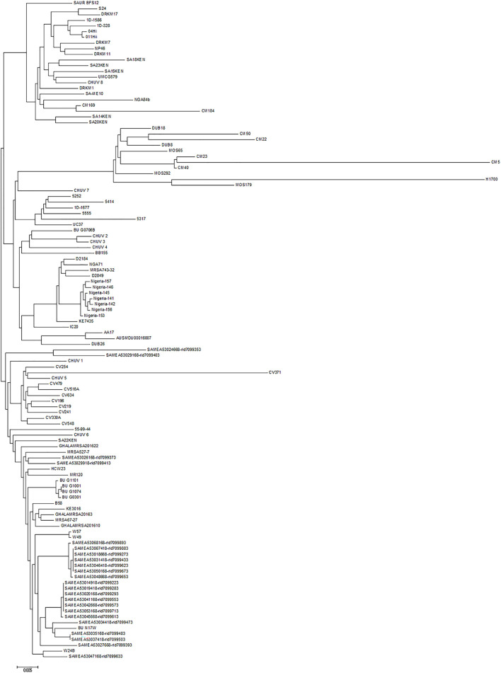 FIGURE 4