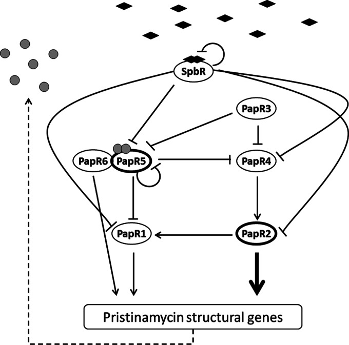 FIG 9