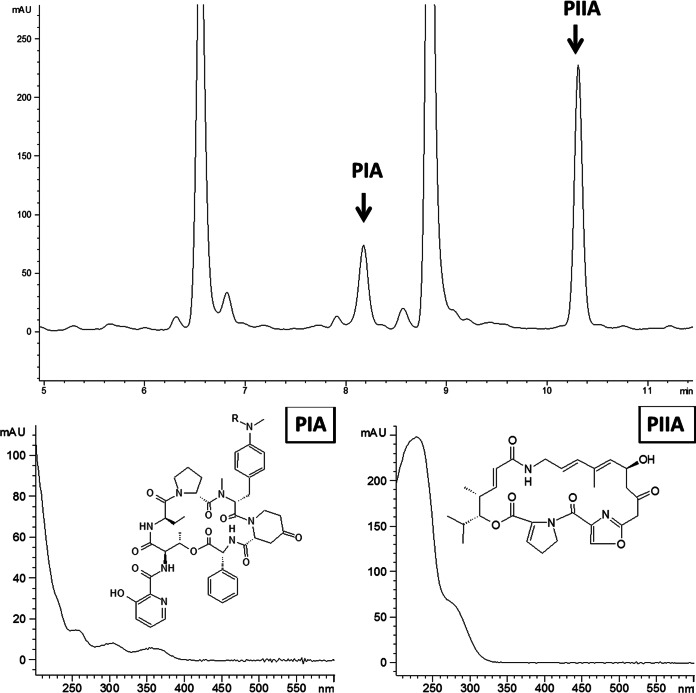 FIG 1