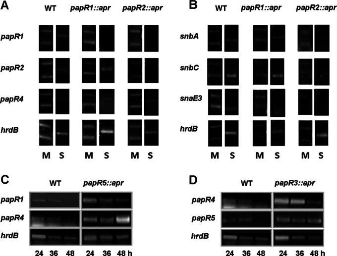 FIG 6