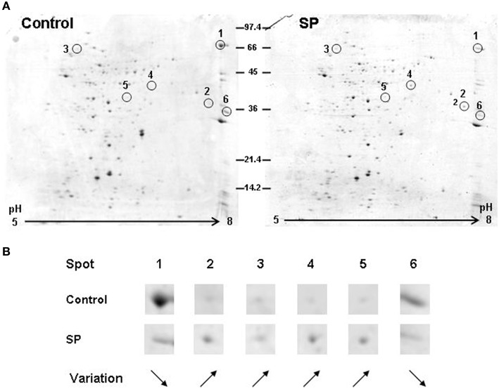 Figure 6