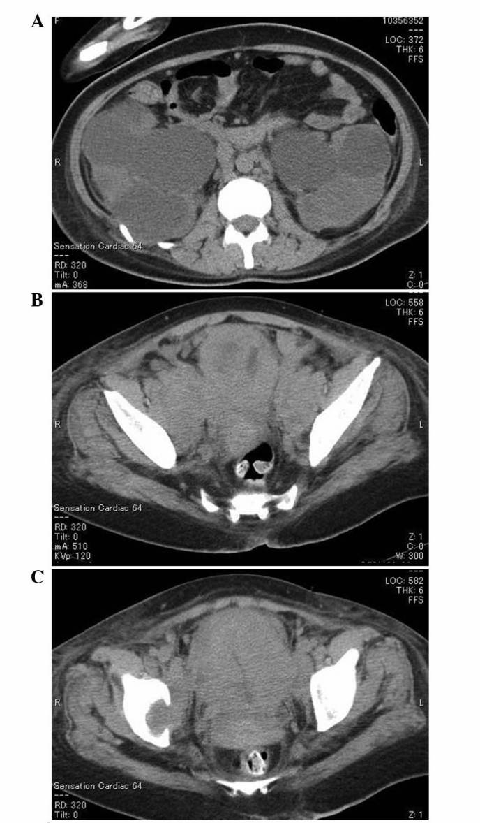 Figure 1.