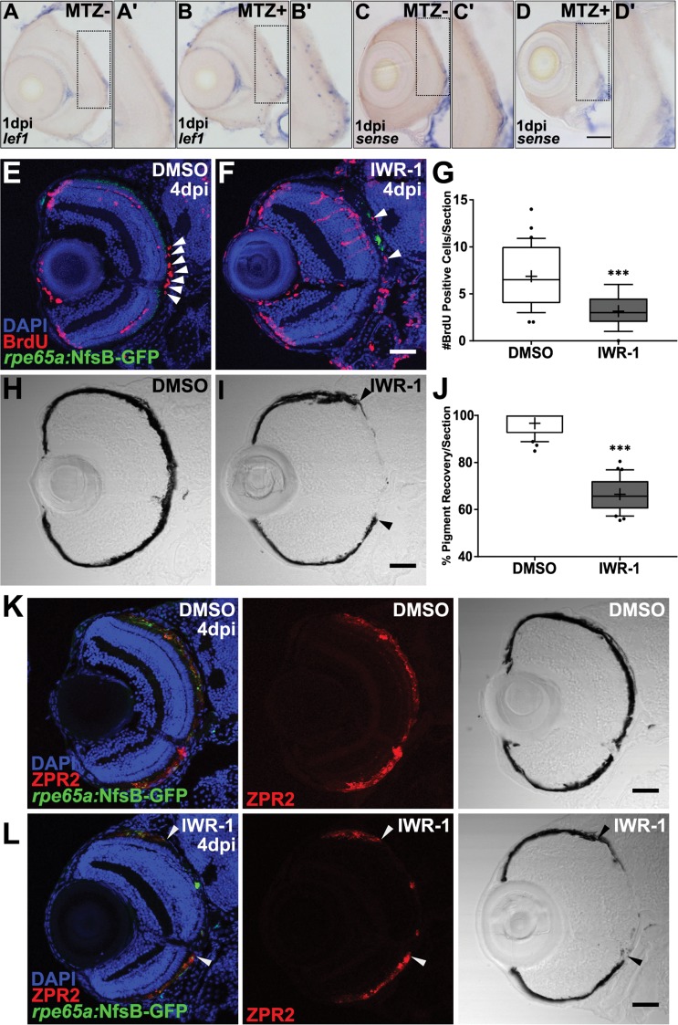 Fig 13