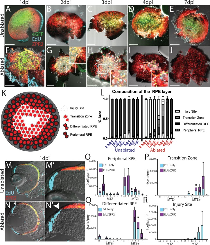 Fig 11