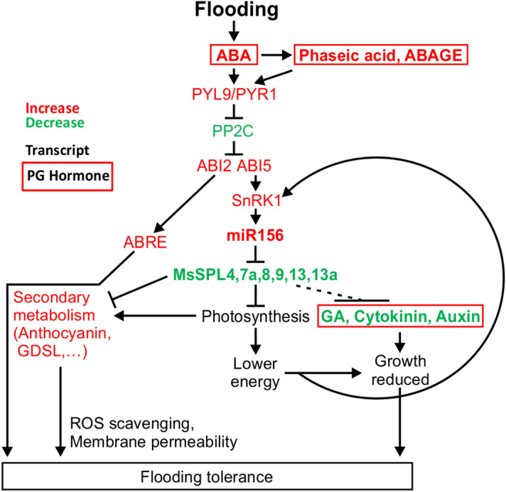 Figure 7