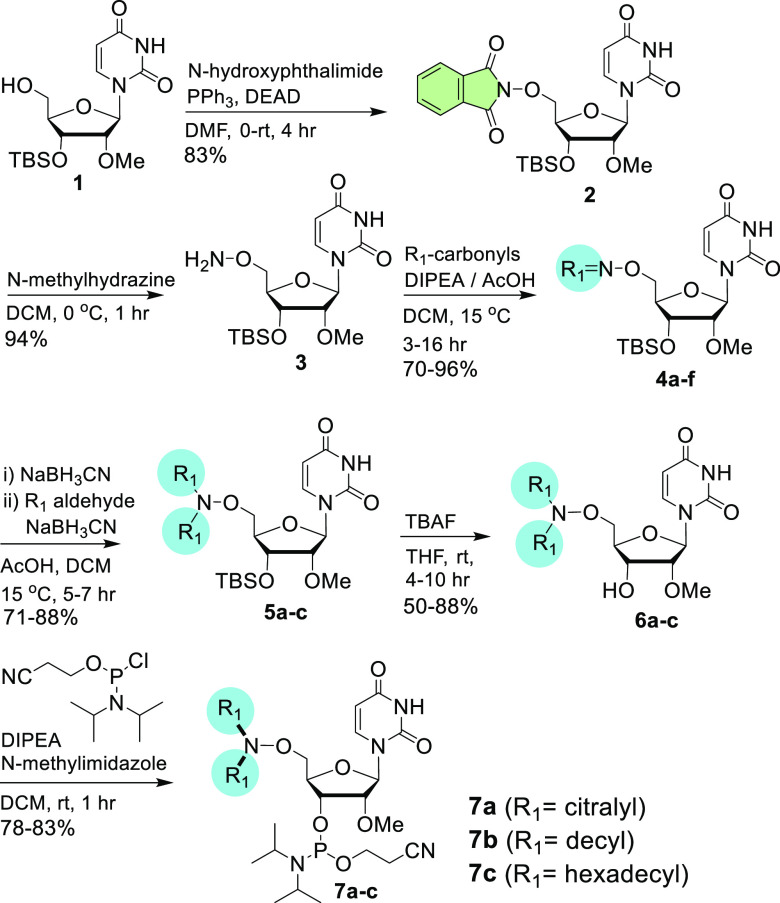 Scheme 1