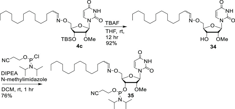 Scheme 6