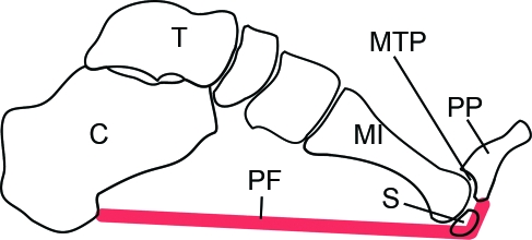 Fig. 10