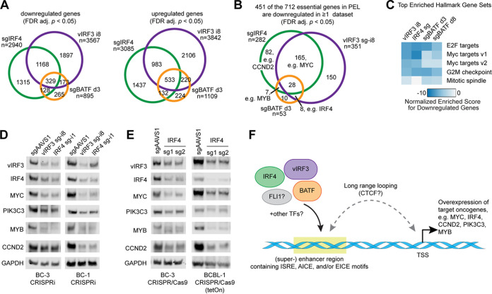 FIG 6