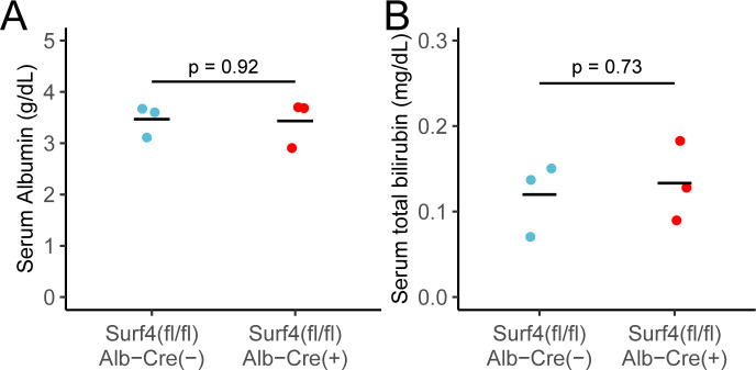 Figure 5—figure supplement 1.