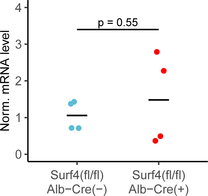 Figure 2—figure supplement 1.