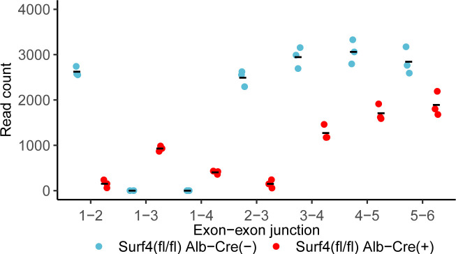 Figure 1—figure supplement 1.