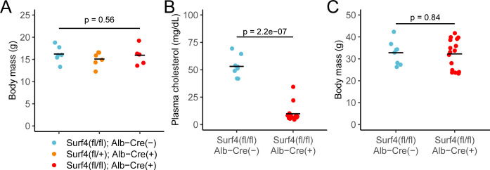 Figure 2—figure supplement 2.