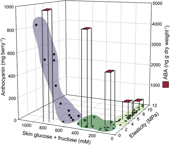 Fig. 8.