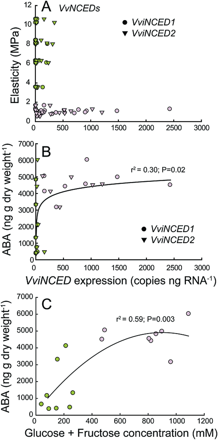 Fig. 7.