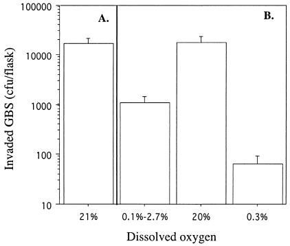 FIG. 2.