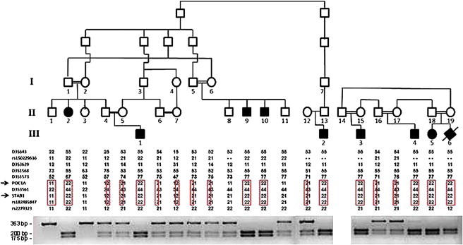 Figure 1