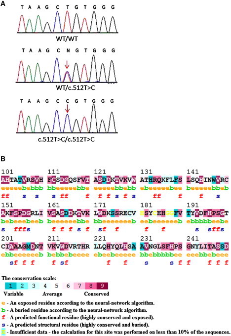 Figure 3