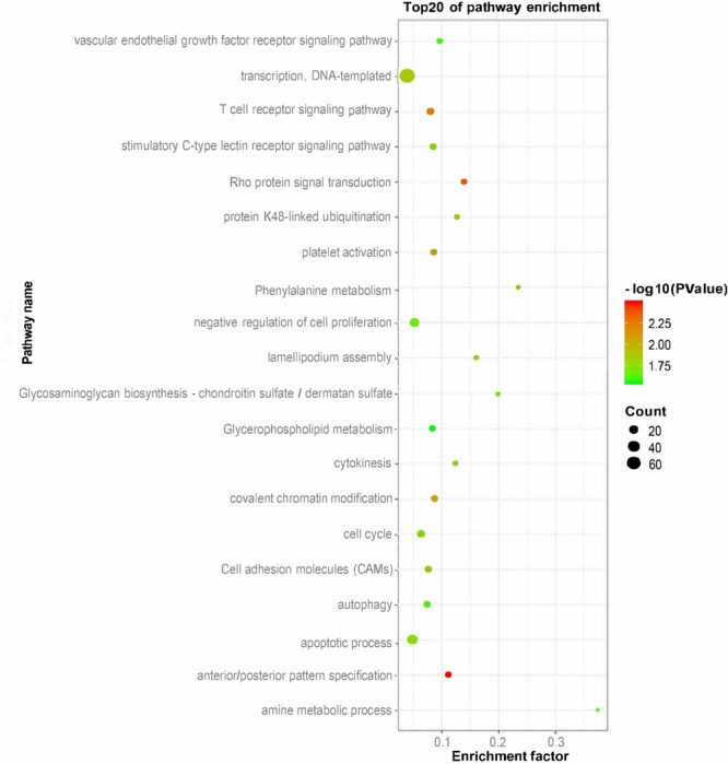 FIGURE 4