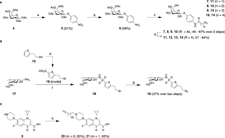 Scheme 1