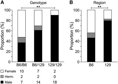 Figure 2.—