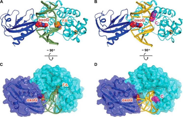 FIGURE 2.