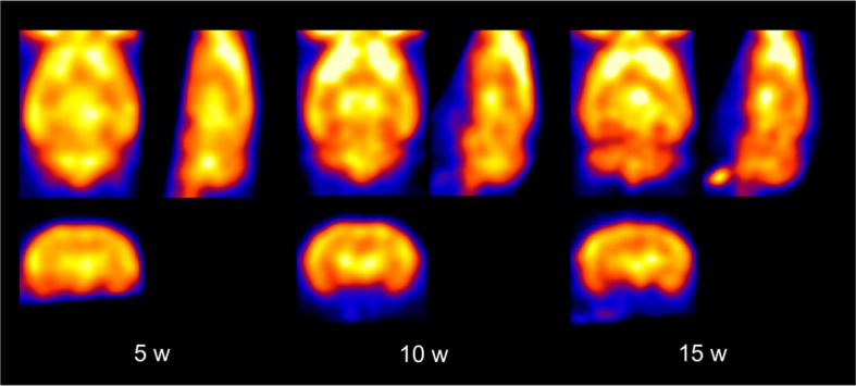 Figure 1—figure supplement 1.