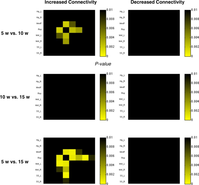 Figure 3—figure supplement 2.