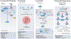Fig. 2 |
