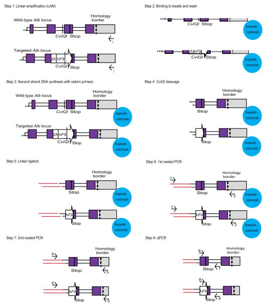 Extended Data Figure 2