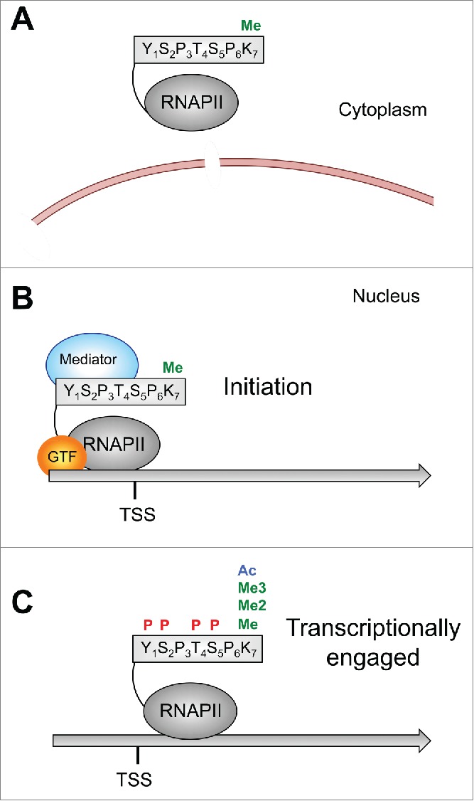 Figure 6.