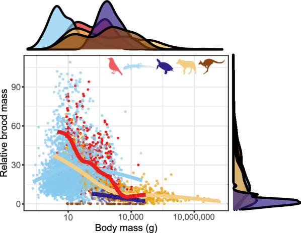 Fig. 10