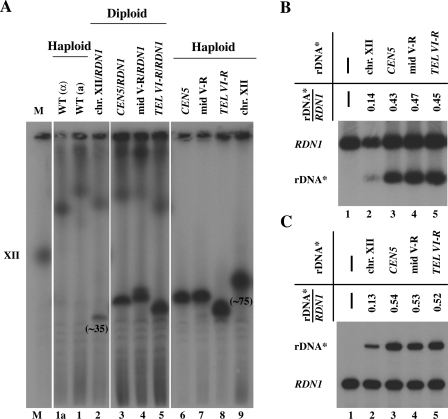 FIG. 7.