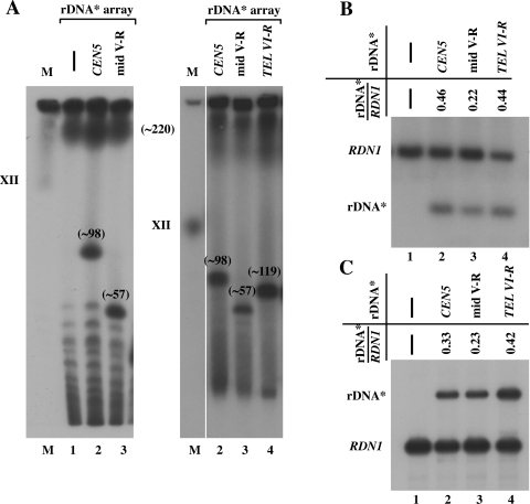 FIG. 6.