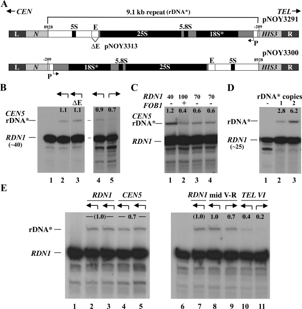 FIG. 3.