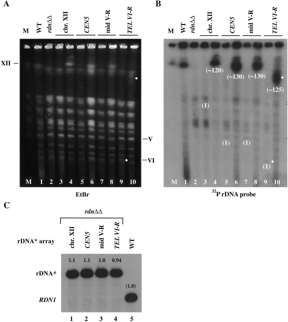 FIG. 4.