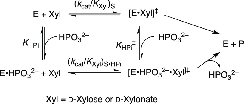 Scheme 4