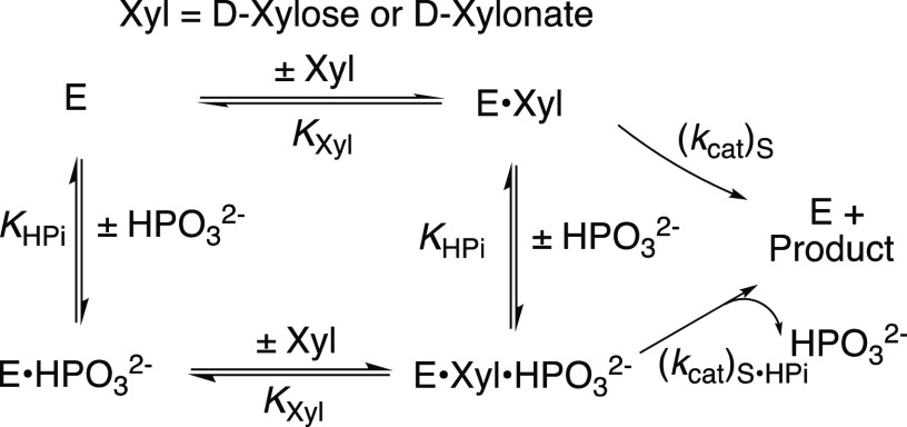 Scheme 3