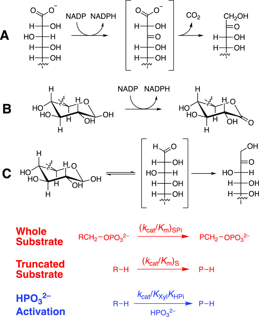 Scheme 2