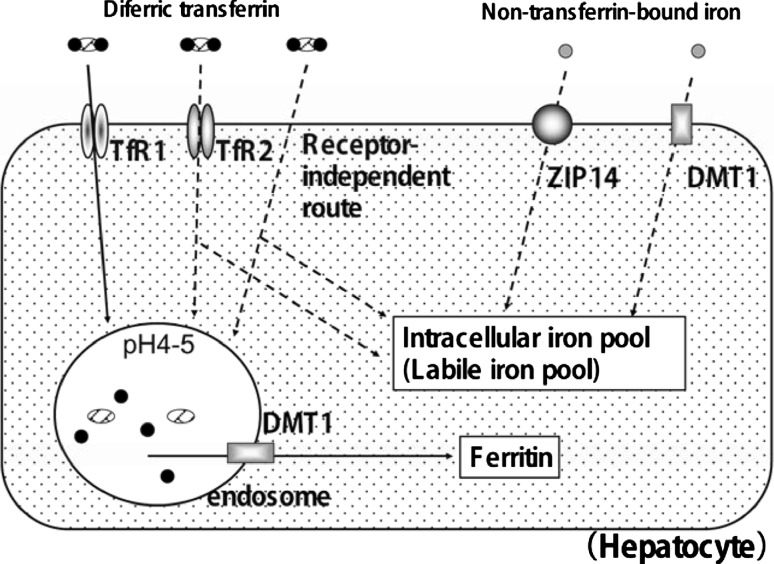 Fig. 1